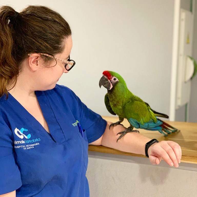 Veterinarios especialistas en animales exóticos en Cantabria