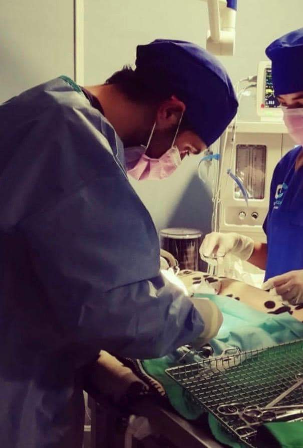 Cirugía veterinaria en Cantabria